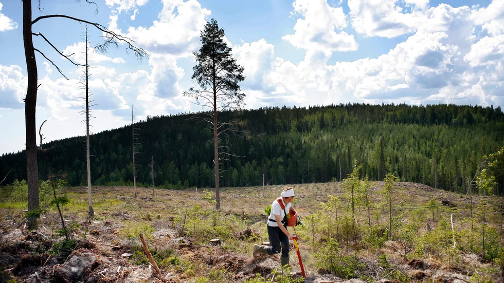 Under rekordåren gick finländare och jugoslaver rakt ut i jobb på industrierna i Finspång. Idag gör många ingenjörer och specialister liknande besök. Skogsplantörer inte att förglömma. 
