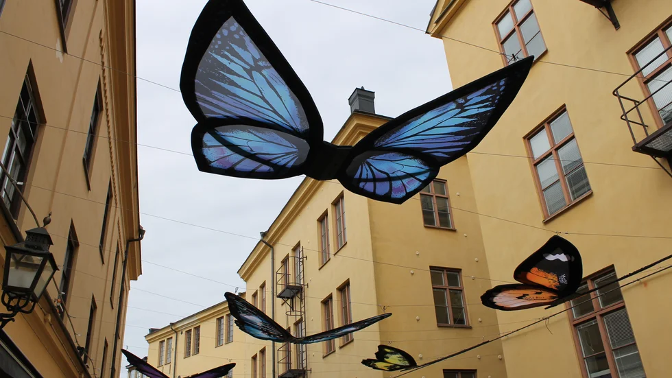 Fjärilarna, uppsatta på vajrar, sveper in över gågatan i Knäppingsborg. Installationen kom på plats i helgen.