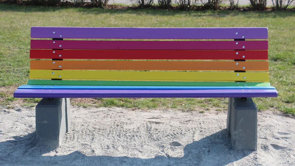 Den färgglada soffan i parken blev en riktig snackis. Över 50 kommentarer på kort tid, de allra flesta positiva. En  färgklick, tycker man.