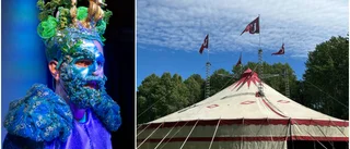Rekord för teatersommaren i Gottsunda 