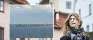 Bilden på Visby en snackis – nu ger samordnaren sin syn