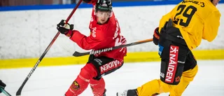 Luleåforwarden har skjutit på framtidssamtal – trots ovissa läget