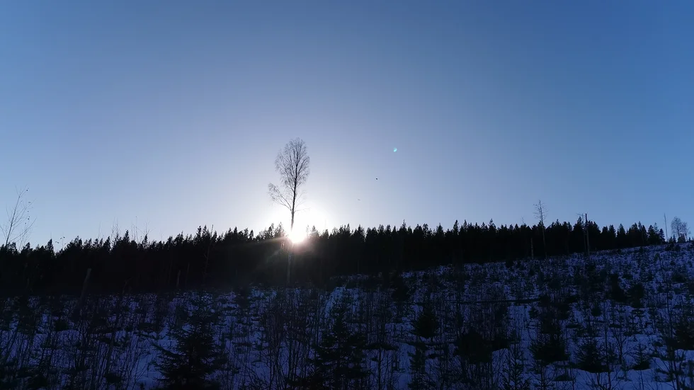 Dagens läsarbild.