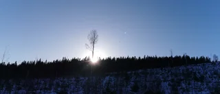 Dagens läsarbild: Solnedgång över Björkberget