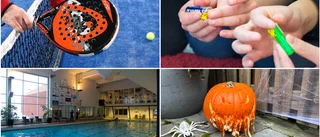 Guide: Det här händer på höstlovet i Piteå