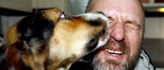 Hittehunden Valle fick en ny husse