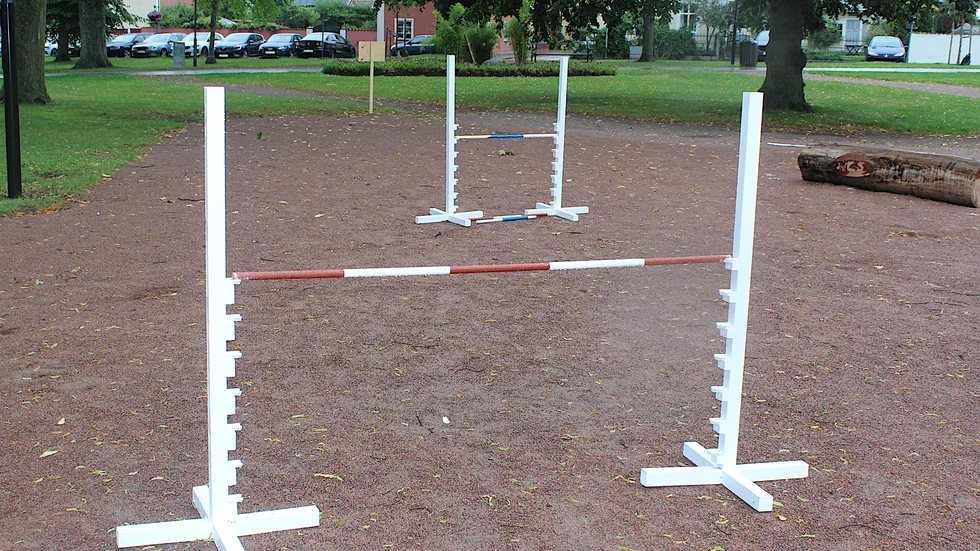 I väntan på byggstart för den nya lekparken i Hamnparken har Vadstena kommun placerat ut ett antal hinder där barn kan hoppa med käpphästar, eller leka vanligt höjdhopp.