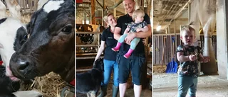 The farmer who learned Swedish in two months 