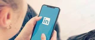 Varför har inte fler politiker upptäckt Linkedin?