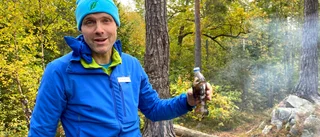 Guide: Så hittar du renaste dricksvattnet