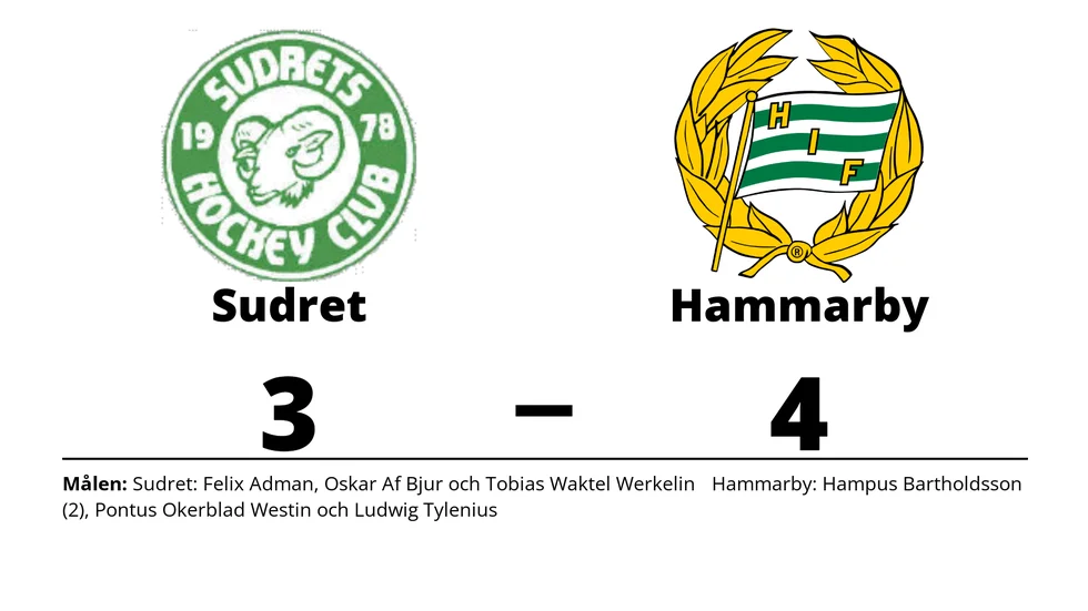 Sudrets HC förlorade mot Hammarby IF