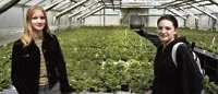 5000 blommor lever farligt
 i konflikten på Valstadskolan