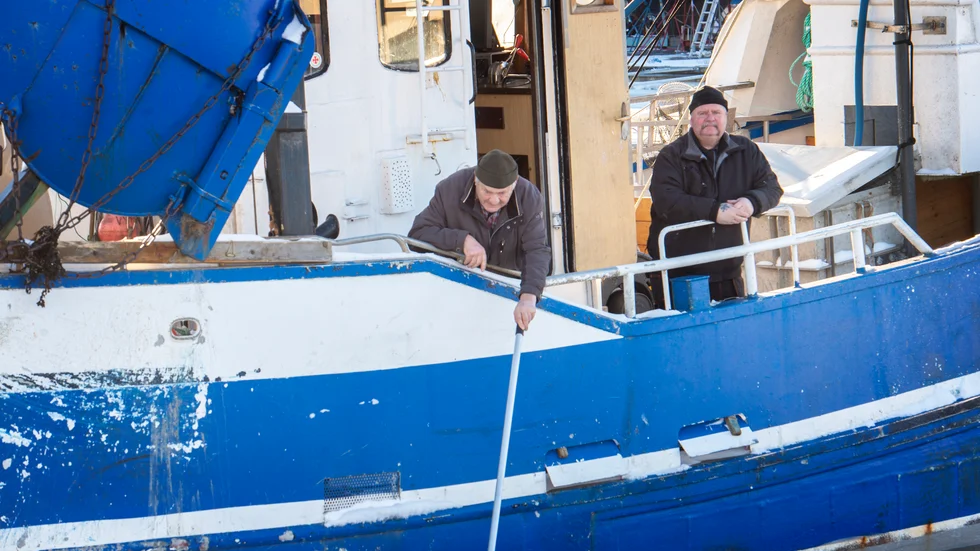 Michael Karlsson, till höger, är ensam yrkesfiskare kvar i Oxelösund. Han tycker fångsterna av strömming varit god i år och vill se den på matbordet istället för som fiskfoder.
