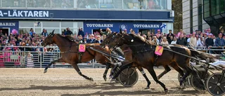 Stjärnhästen missar Prix d'Amérique