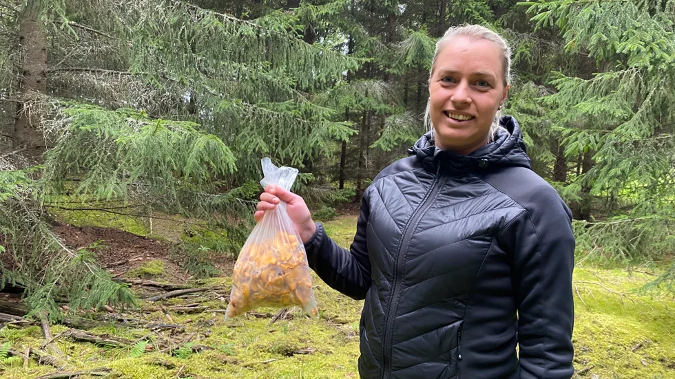 Sofie Rhedin delar med sig av kantarellerna till kommunens äldre: "Vad ska jag annars göra? Ge den till katten och hästarna?"