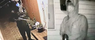 17-åringens uppdrag: Mörda Rävens anhöriga • "Skulle få 2 000"