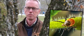 Gotland unikt – enda länet utan fästingsmittan