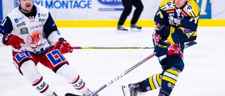 Klart: VIK värvar ettrig forward: "Rör om i grytan"