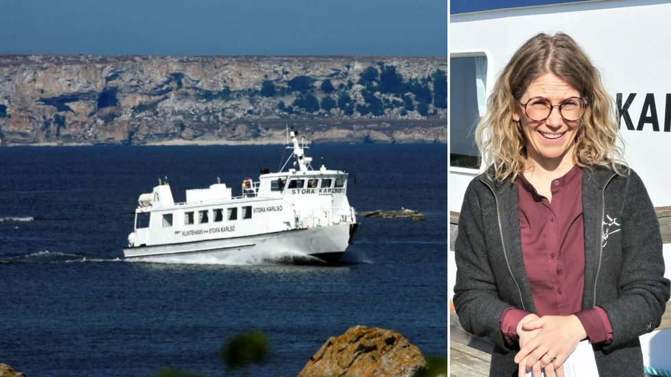 Efter 13 år lämnar Hanna Wiman posten som vd för 