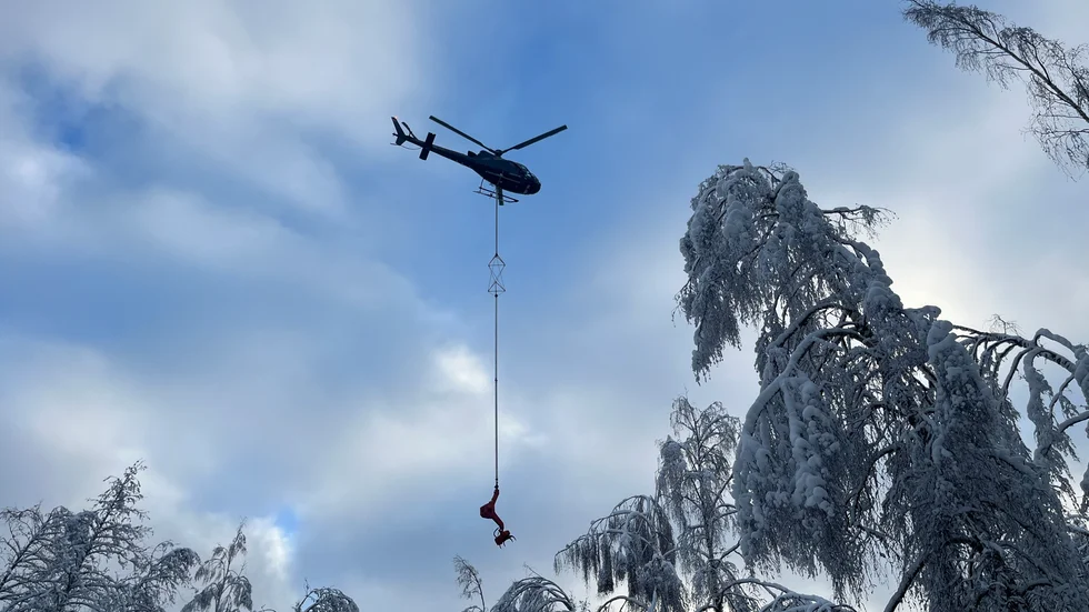 Snötyngda träd har orsakat flera avbrott. I nuläget ligger hundratals träd över ledningarna i länet.