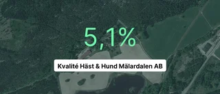 Kvalité Häst & Hund Mälardalen AB: Långt ifrån succéåret 2022, men solid marginal