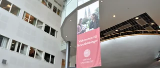 Den svenska lärarutbildningen är en skamfläck