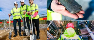 Rapport där resultatet bestämts på förhand