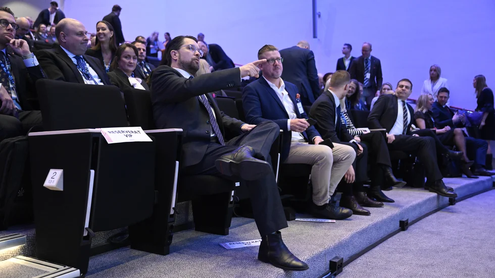 Jimmie Åkesson (SD) spär på hotbilden mot svenskar i utlandet.