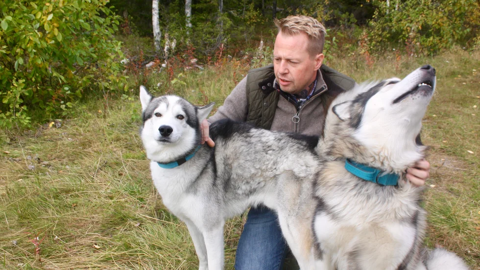 Jimmy Bergqvist med sina två hundar som han tagit med till Åmliden.