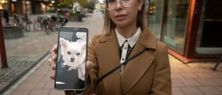 Hunden Lovis skulle behandla tandsten – slutade med avlivning