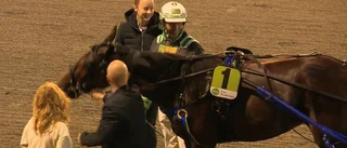 Skellefteås kuskchampion avslutade med en V65-dubbel