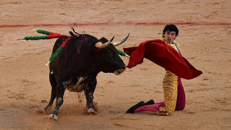 Tjurfäktning under San Fermín-festivalen i Pamplona i år. Arkivbild.