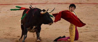 Spanien: Tjurfäktning undantas i djurskyddslag