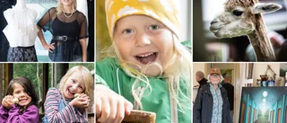 BILDSPECIAL: Alterälvshelgen igång – välbesökt folkfest