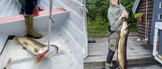 Fiskelycka för Vincent, 14 – fick en gädda på 15,2 kilo 