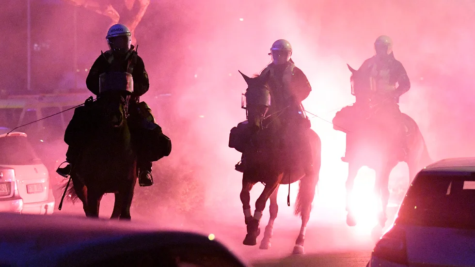 Polisens hästar behöver vara lugna och stabila i svåra situationer. Arkivbild.