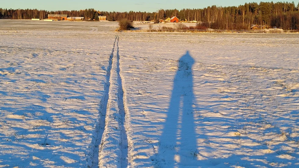 Dagens läsarbild.