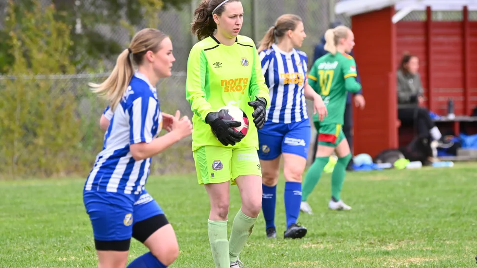 Målvakten Agnes Grehn och hennes Medle vann division III, men i kvalet uppåt blev det för svårt.