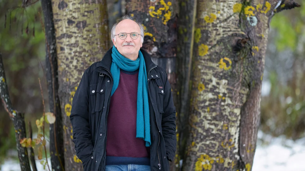 "Är det en mild höst, som det har varit nu, får inte träden signalerna att det börjar bli för kallt", berättar Stefan Jansson, professor vid Umeå universitet. Men det gäller inte alla träd. Här står Jansson framför en asp han studerat länge, och den börjar bli gul varje år kring den 10 september, oberoende av vädret.
