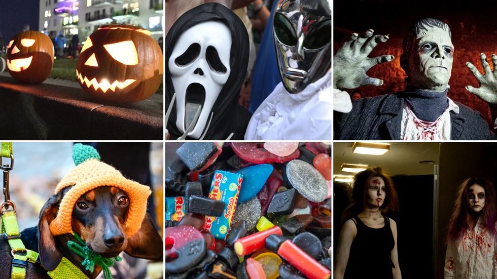 Hur står det till med dina halloween-kunskaper? Testa dig själv i vårt quiz!