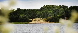 Fler vill bygga nära strand