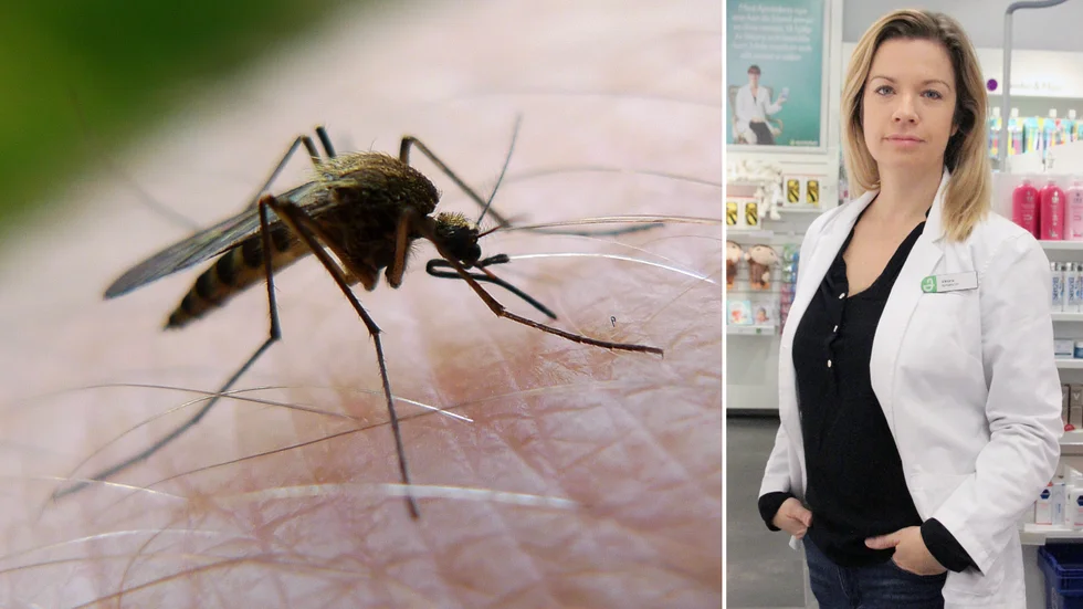 Apotekschefen Viktoria Bartha förklarar vad man kan göra för att skydda sig från myggbett och hur de kan behandlas i efterhand. 