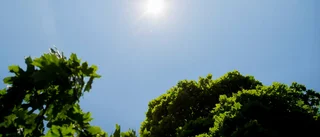 Dagens väder – sommarvärme i Norrbotten