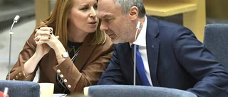 Ingår de i regeringen?