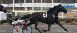 Skrälltätt på Bodentravet – ingen femma