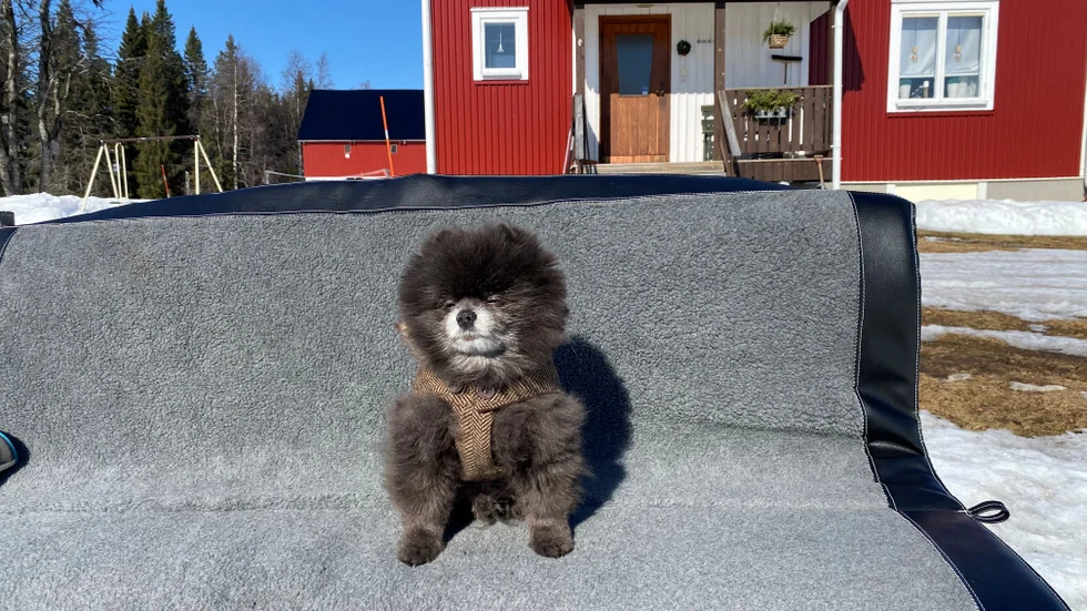 Dagens läsarbild.