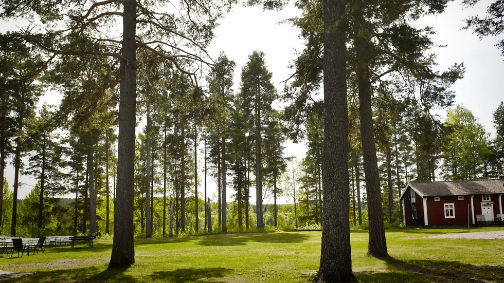 Snart ska hela den stora gräsytan fyllas med musik, mat och springande ben. Den 9 - 11 juni är det premiär för – Work Together på Mobackenområdet.