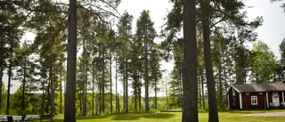 Här ska Skellefteås nya festival snart ha premiär