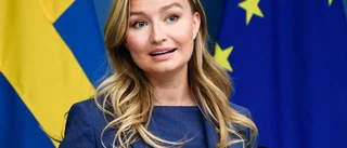 Regeringen: Statlig vård ska utredas