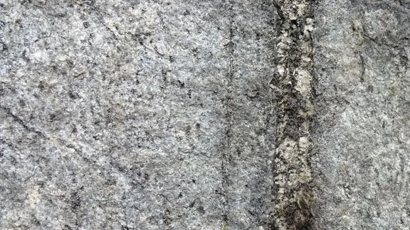 Exempel på mineraliserad gång med sällsynta jordartsmetaller (REE-fosfatmineralen xenotim och monazit ) i Olserum.